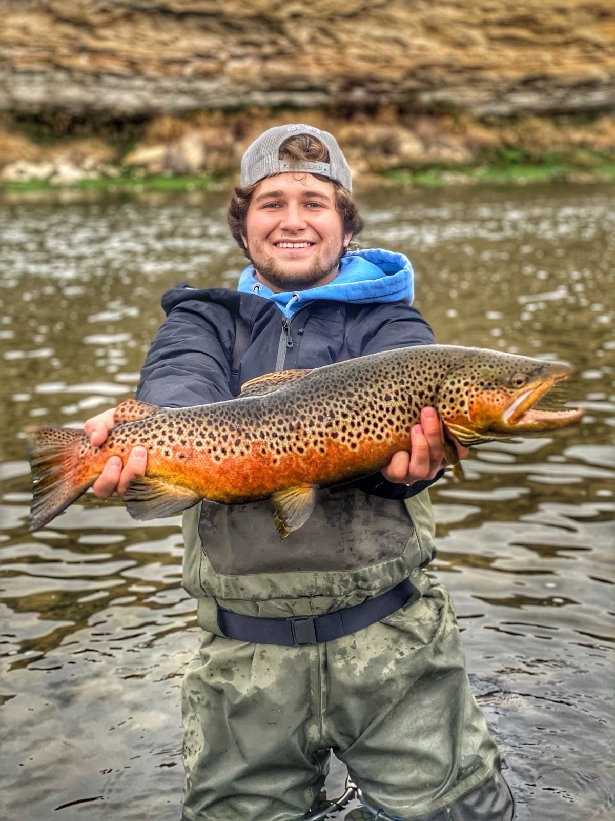 Big brown trout landed on a Wyoming river