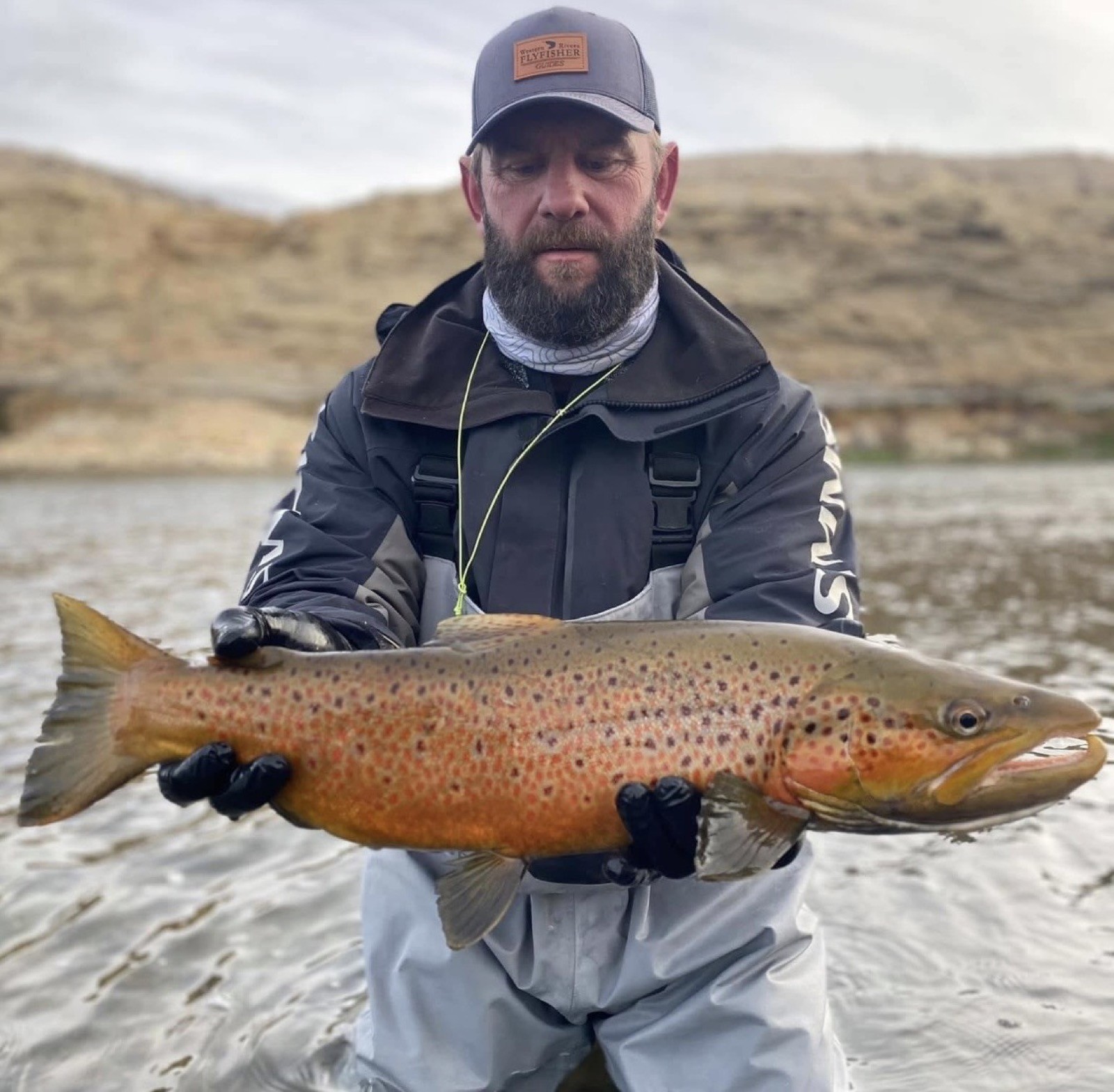 Rainbow trout caught fly fishing in Wyoming