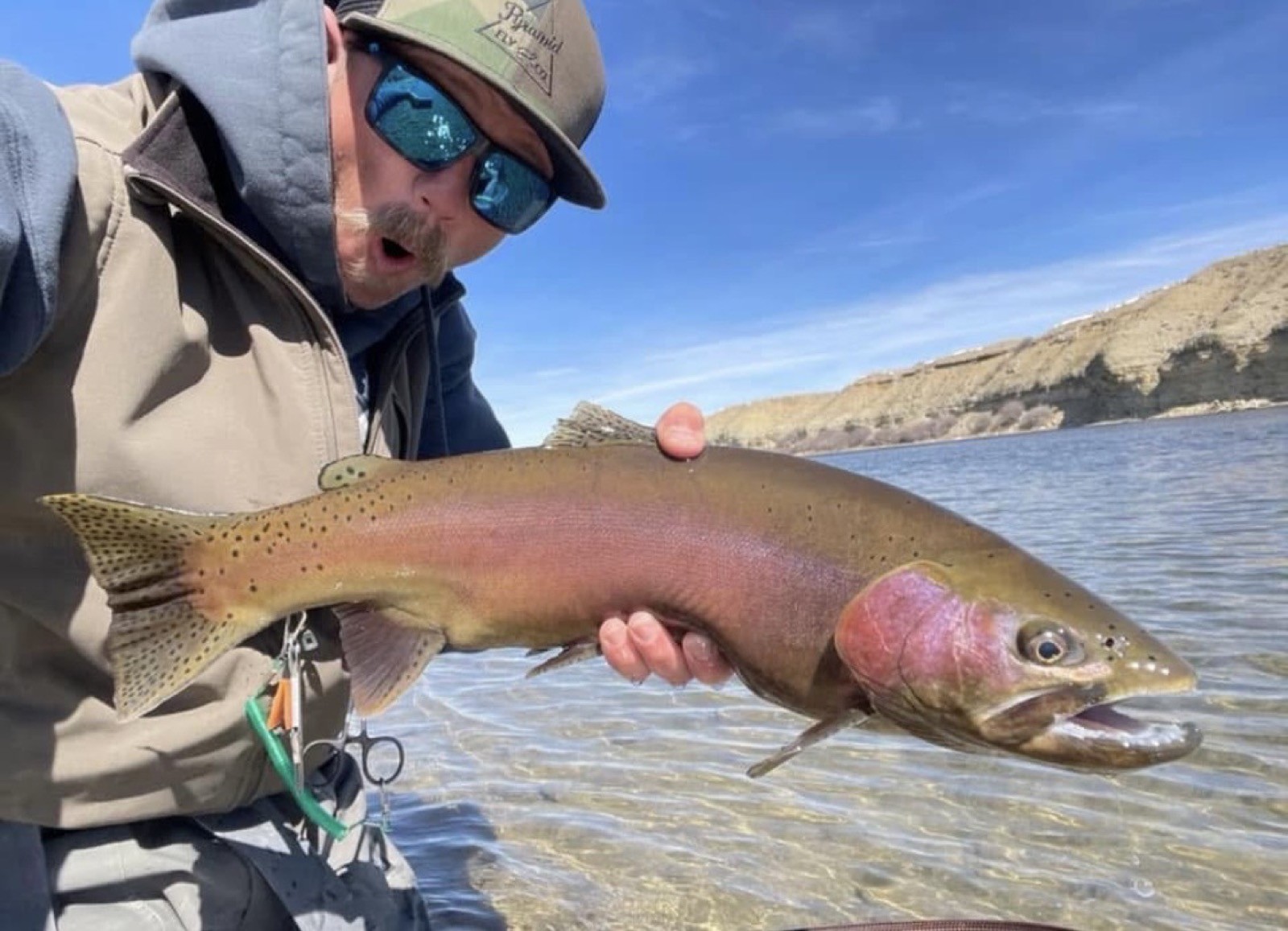 Rainbow trout caught fly fishing in Wyoming