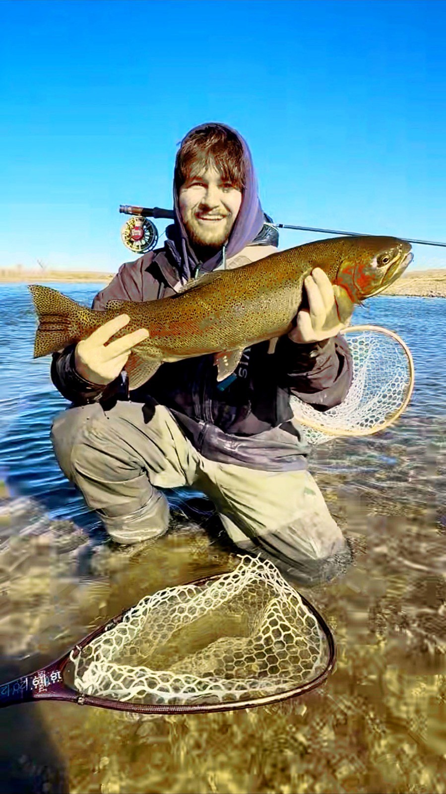 Big brown trout landed on a Wyoming river