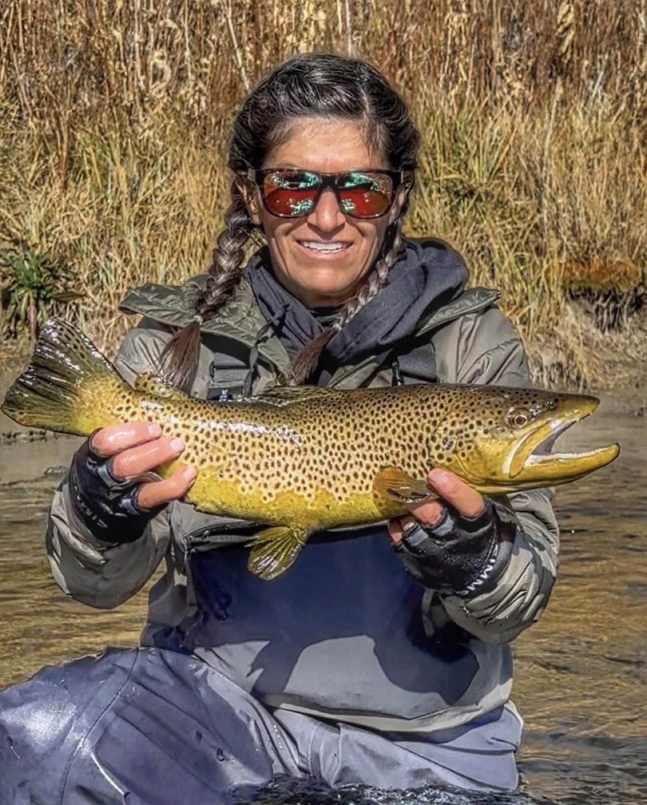 Rainbow trout caught fly fishing in Wyoming
