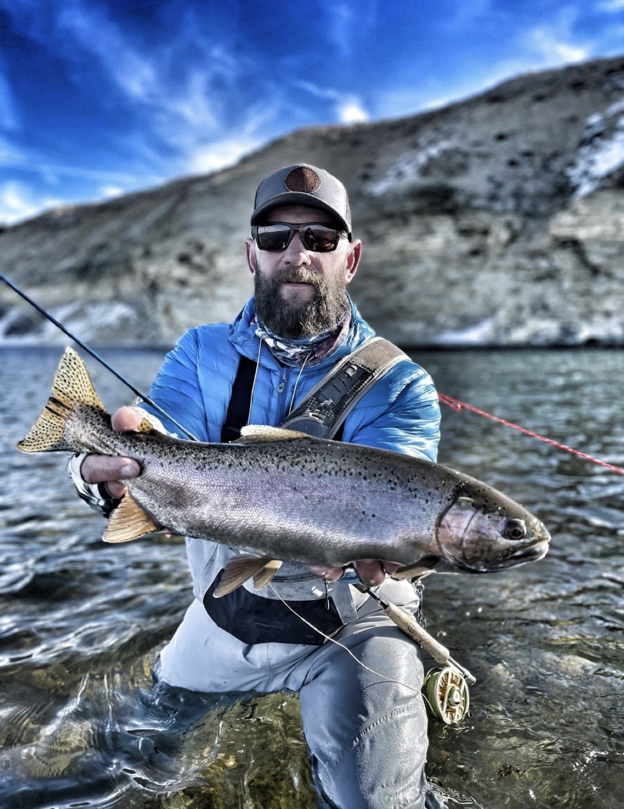 Big brown trout landed on a Wyoming river