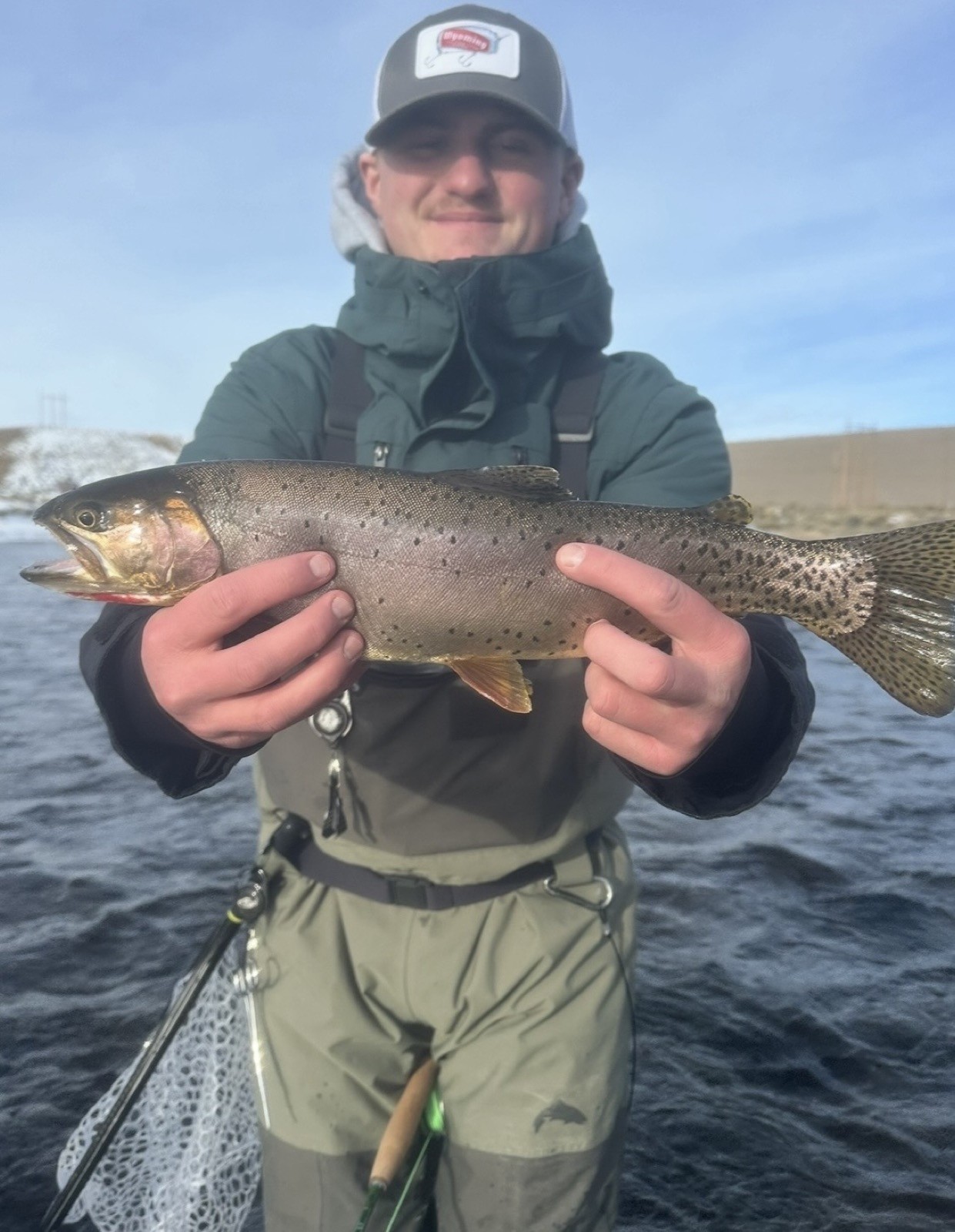 Big brown trout landed on a Wyoming river
