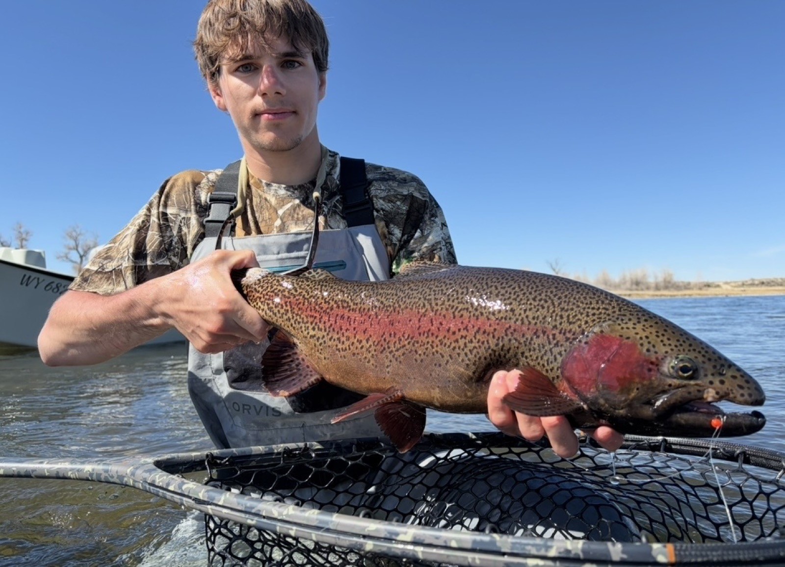 Rainbow trout caught fly fishing in Wyoming