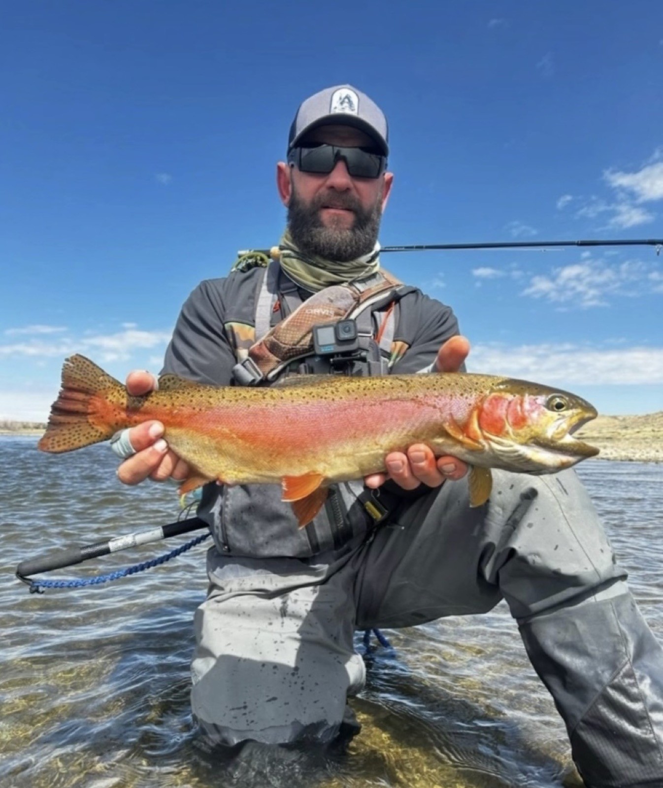 Wyoming fly fishing catch on a guided Riffle Riders trip