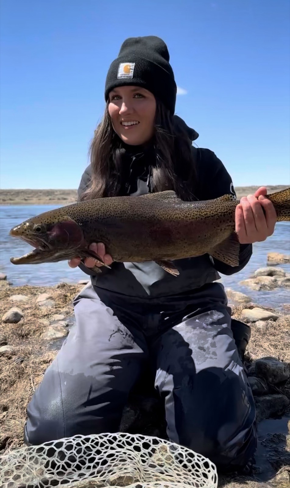Rainbow trout caught fly fishing in Wyoming