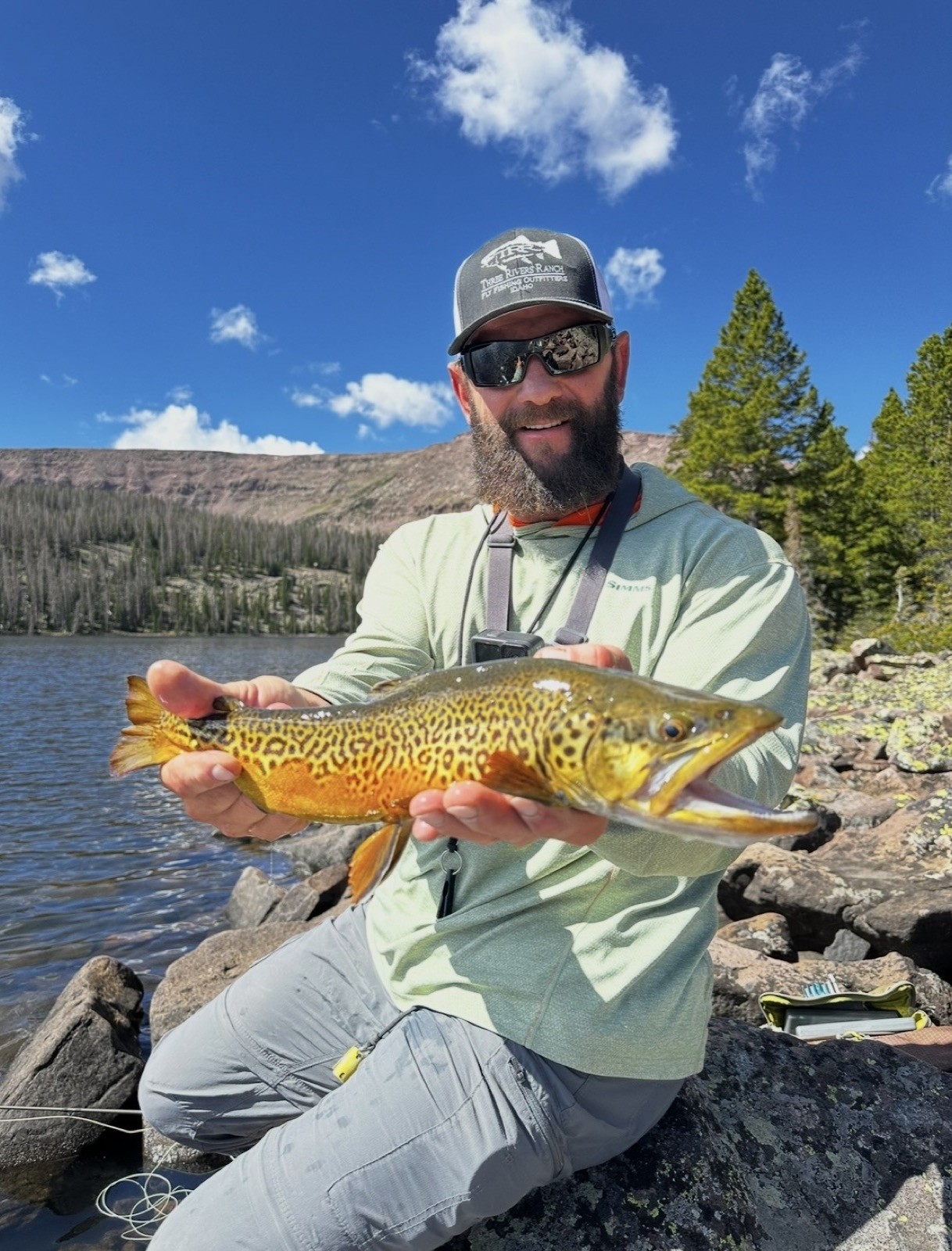 Big brown trout landed on a Wyoming river