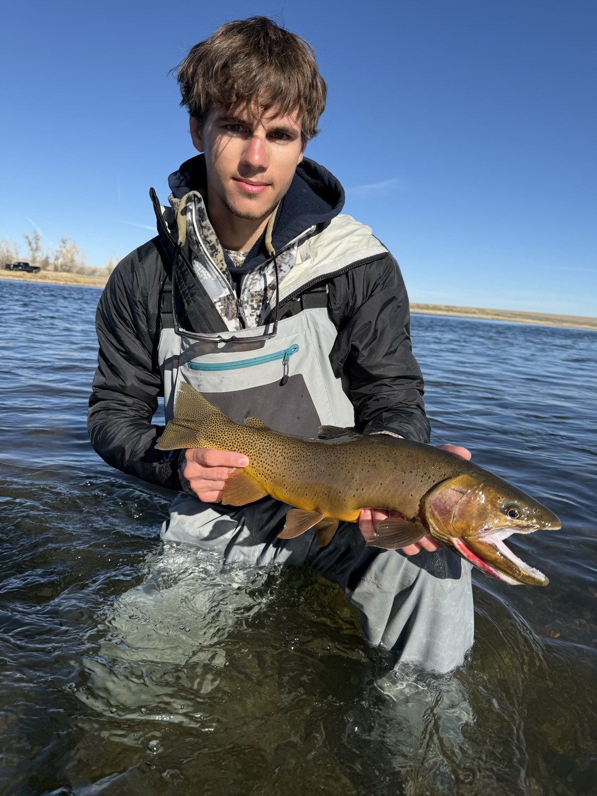 Cutthroat trout from a Riffle Riders guided trip